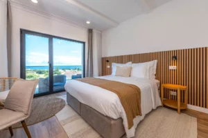 AGV - ÁPICE - APARTAMENTO PISO 1 - 081